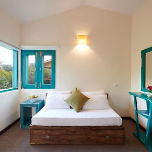 ACORN SUITE